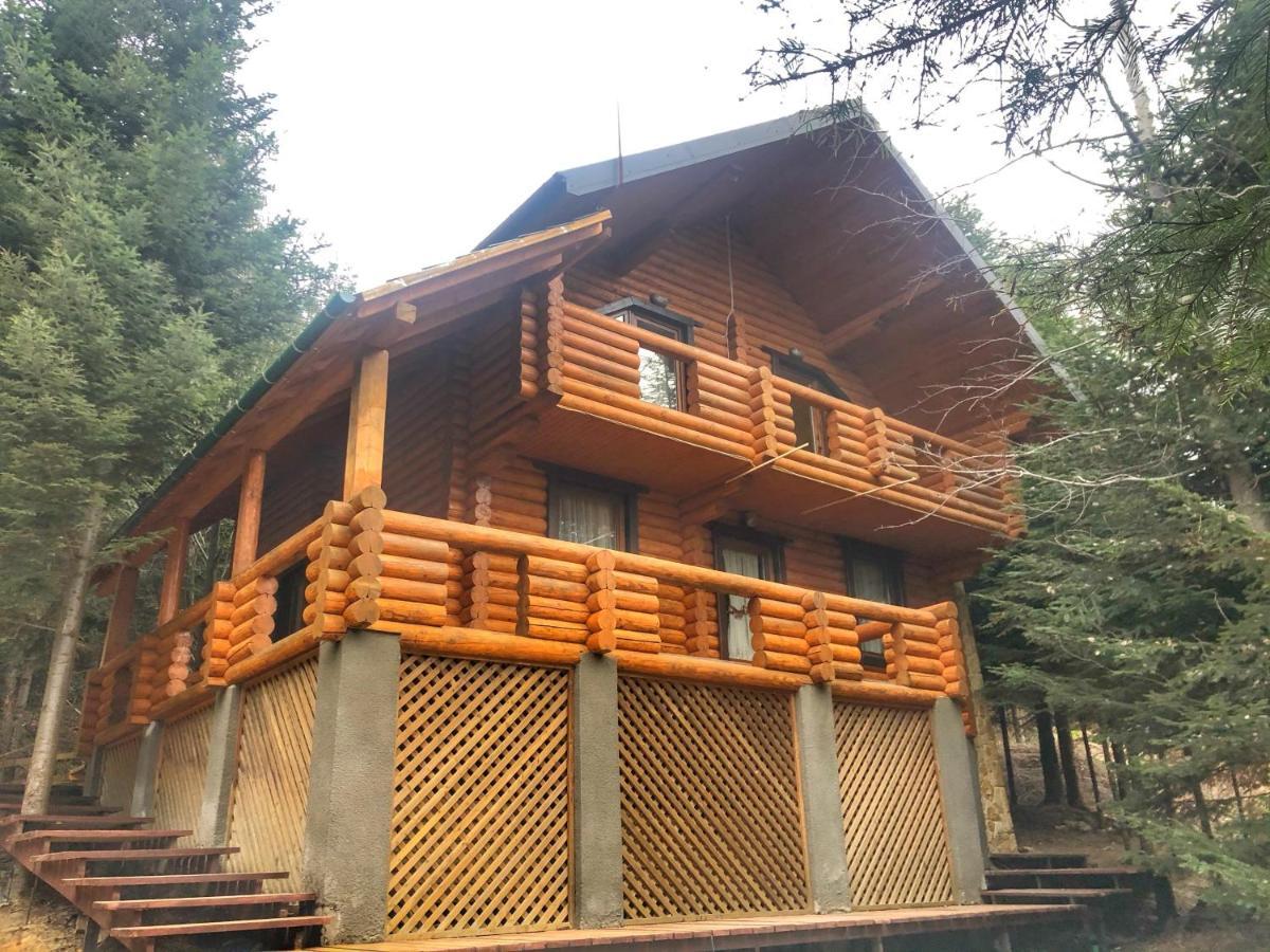 Коттедж Luky Migovo Ngoại thất bức ảnh